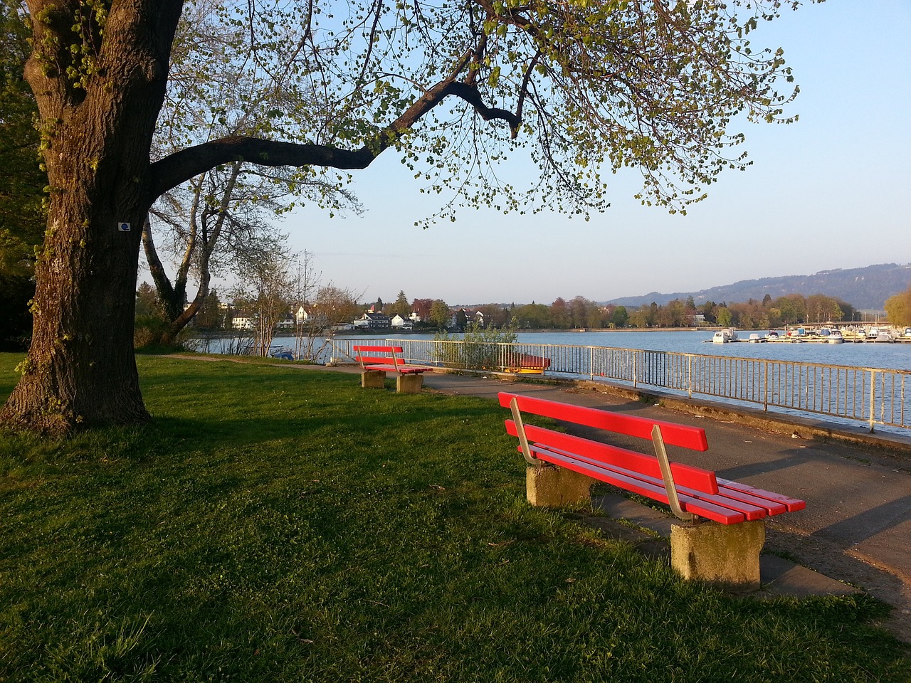 官方：湘南丽海任命前RB大宫松鼠主帅长泽彻为球队新帅